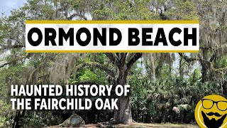Fairchild Oak at Bulow Creek State Park - Oldest Live Oak Tree in Florida