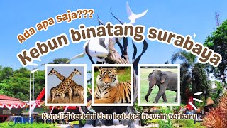 Kondisi KEBUN BINATANG SURABAYA terkini, harga tiket dan fasilitas KBS surabaya #wisata  #vlog