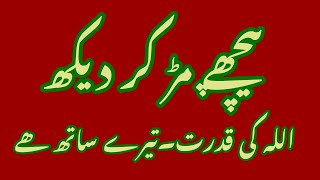 Download Lagu deenislam my heart MP3