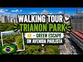 Walking Tour Trianon Park 4K – Green Escape on Avenida Paulista