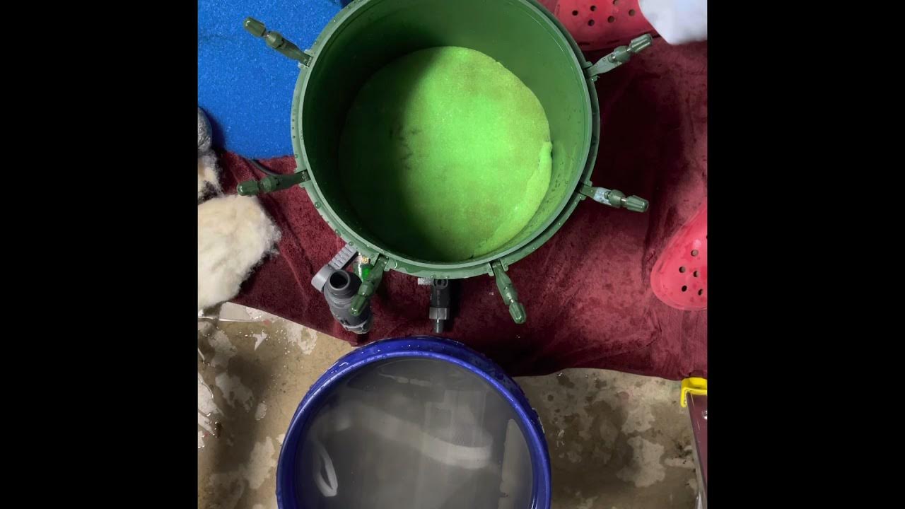 Eheim 2262 Canister Filter Cleaning YouTube