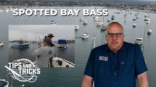 Breaking Down Bays and Harbors - SoCal Bight FISHING ACADEMY Ep. 2