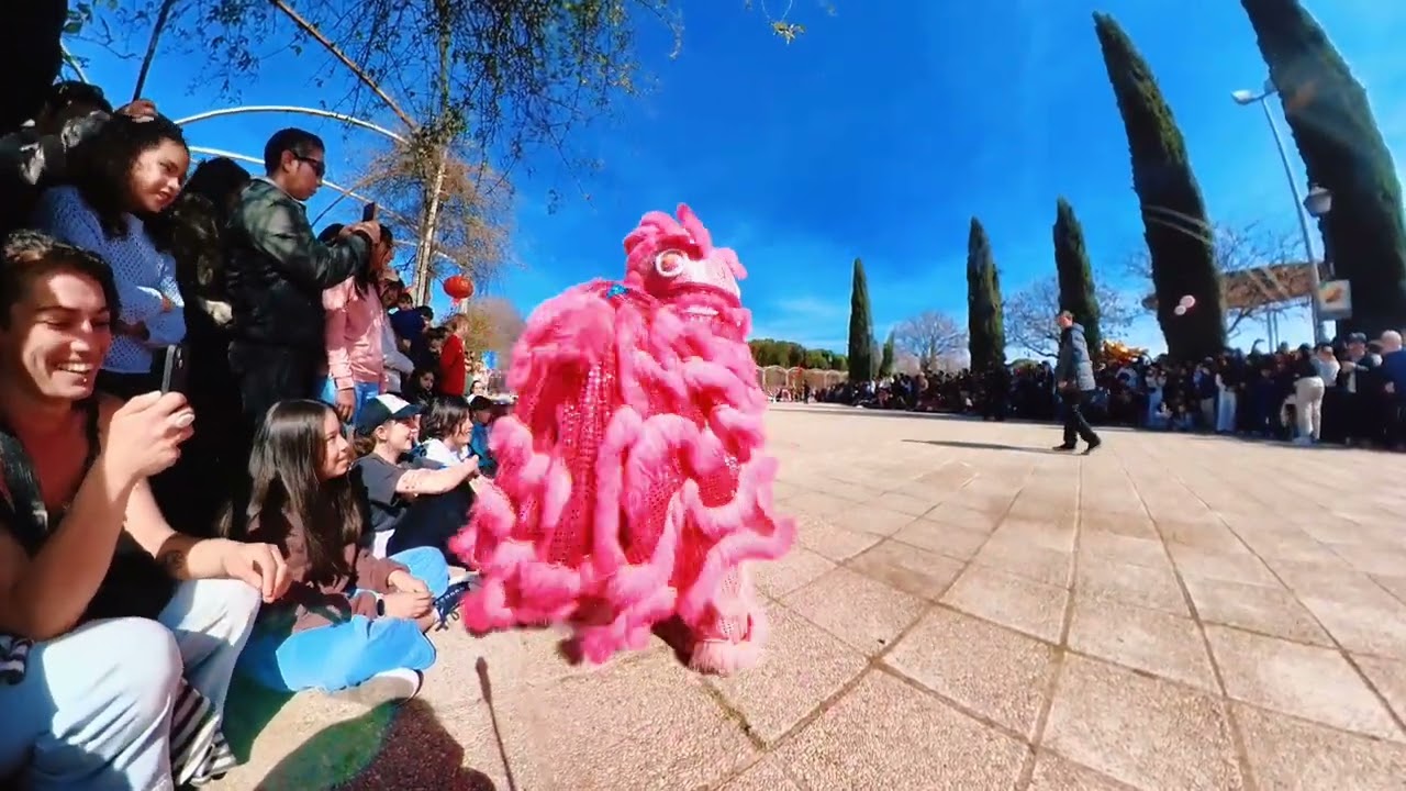 Desfile Año Nuevo Chino (Usera - Madrid) 