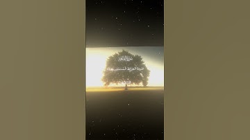 سورة الفاتحة|2-7|القارئ:#محمد_اللحيدان #قران #quran #راحة_نفسية #قران_كريم#تلاوة_هادئة#تلاوة_خاشعة