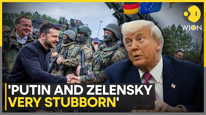 Russia-Ukraine War: US President Trump Says That Putin & Zelensky Are Very Stubborn | WION