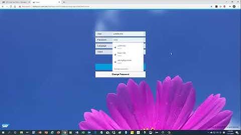 SAPGUI Installation and Start; SAP Fiori Access