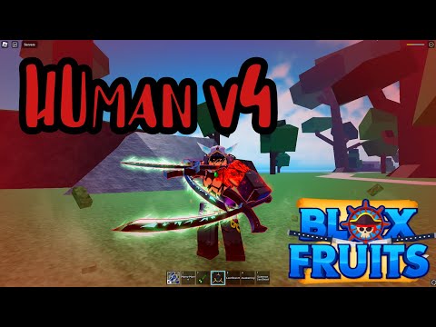 Update New Human Race V4 is OP in Bloxfruits - BiliBili