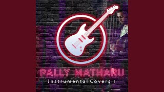 Teri Meri (Guitar Instrumental Cover)