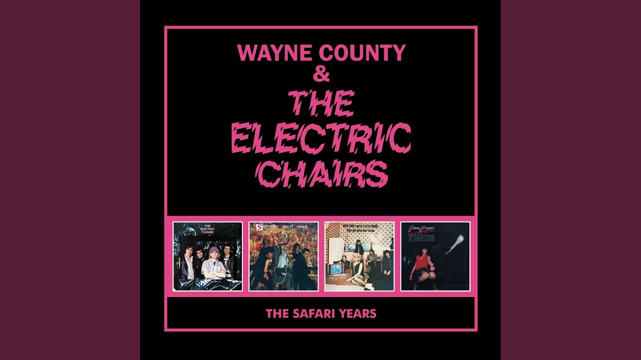 WAYNE COUNTY & THE ELECTRIC CHAIRS (ウェイン・カウンティ &amp
