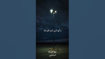ما تيسر من سورة التوبة | يا أَيُّها الَّذِين آمَنوا اتَّقُوا اللَّه | بصوت الشيخ محمد صديق المنشاوي