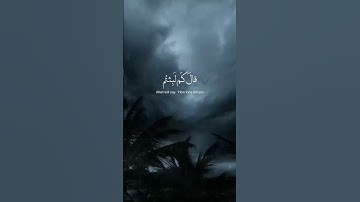 #قرآن #سورة_المؤمنون #اسلام_صبحي