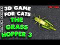 3D game for cats | CATCH THE GRASSHOPPER (top view) | 4K, 60 fps, stereo sound