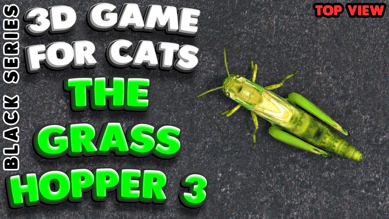 3D game for cats | CATCH THE GRASSHOPPER (top view) | 4K, 60 fps, stereo sound