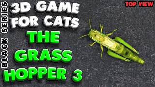 3D game for cats | CATCH THE GRASSHOPPER (top view) | 4K, 60 fps, stereo sound