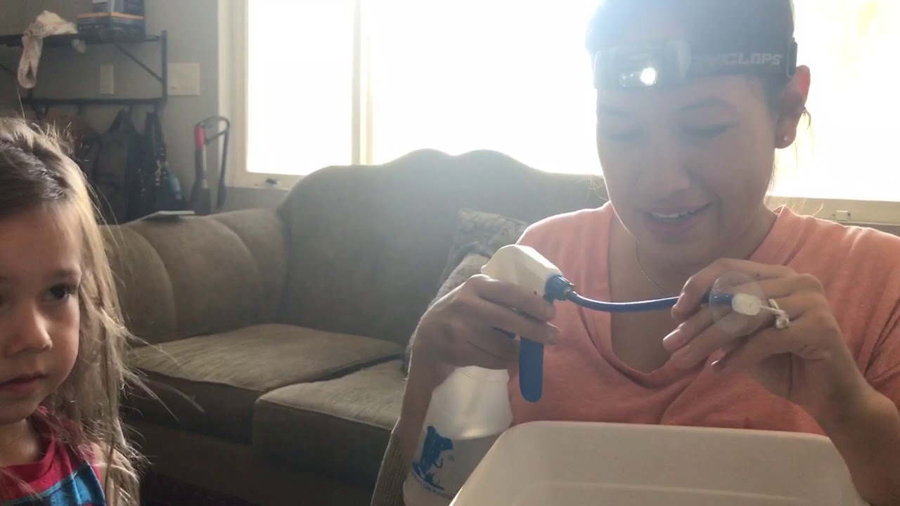 Elephant ear washer ear wax remover YouTube