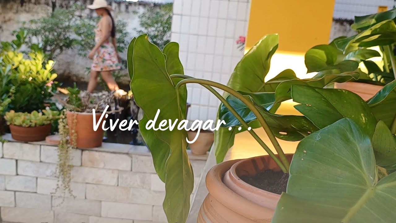 Uma rotina leve, simples e acolhedora . Vlog fazendo macramê, plantando mudinhas e almoço colorido.