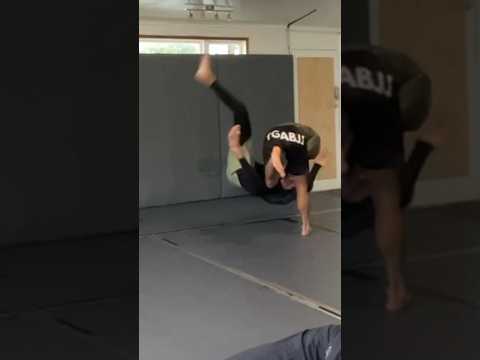 Judo throw in