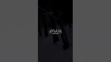 سبحان الله 🩵 #القران #صوت_جميل #قران_كريم #راحة_نفسية #تلاوة_خاشعة
