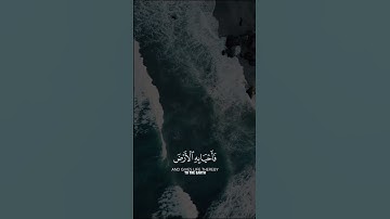 القران الكريم HD بدون حقوق