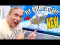 BUILDING ENCLOSURES FOR MY NEW FLY RIVER TURTLES!!! | BRIAN BARCZYK