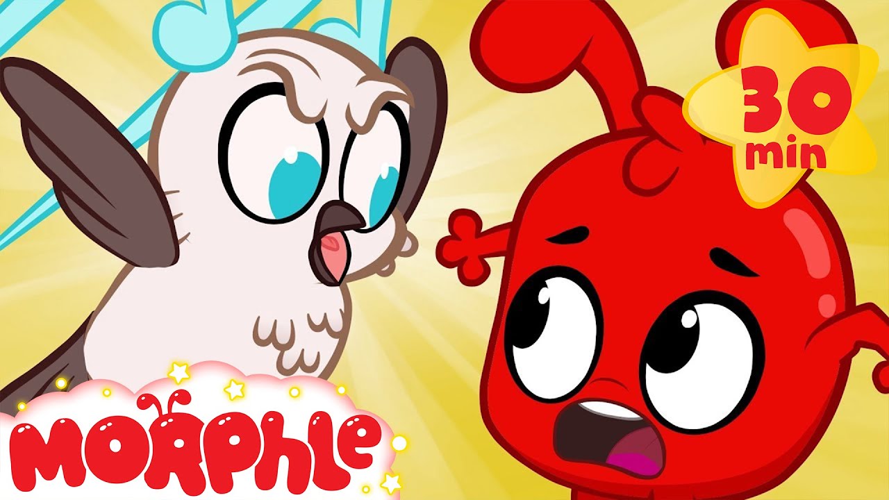 trucks skate Wow Morphle! A magic soundbird copies peoples voices! (Cartoons for kids)