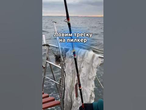 Ловим треску на пилкер #car #nature #fish #рыбалка #спиннинг #fishing # ...