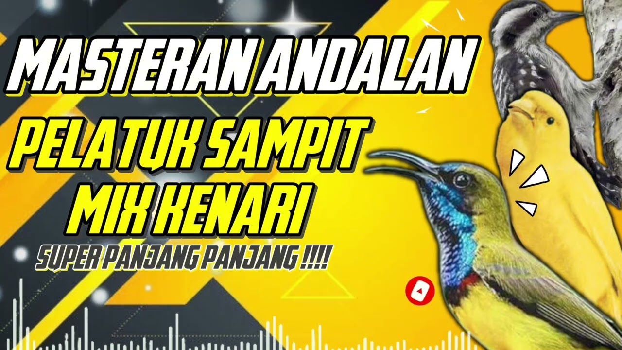 MASTERAN SOGON‼️ ANDALAN PELATUK SAMPIT SAMBUNG KENARI!! 