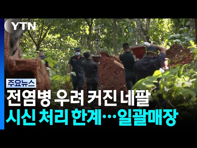 "안타깝지만 어쩔 수 없어"...전염병 우려에 서둘러 '일괄 매장' / YTN