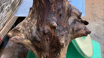 GL cục cẩm chỉ krôngpa đặc tịt tinh lõi chun sụn 10kg đục tiện đều víp ạ