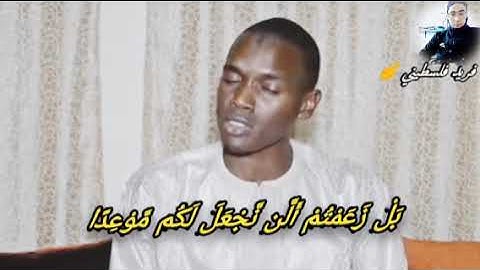 الْمَالُ وَالْبَنُونَ زِينَةُ الْحَيَاةِ الدُّنْيَا ۖ  بصوت القارئ السنغالي محمد الهادي توري