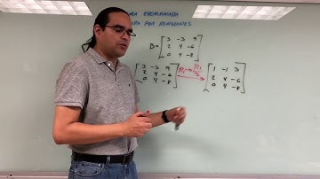 Forma Escalonada Reducida por Renglones