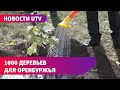 Движение первых посадит 1000 деревьев в Оренбуржье