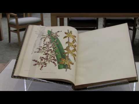 The Orchid Album Exhibition