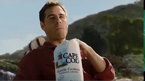 Cape Cod Chips Seagulls