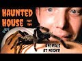 The HAUNTED HOUSE in a Jungle - Animals at Night! Part 2!