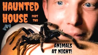 The HAUNTED HOUSE in a Jungle  Animals at Night! Part 2!