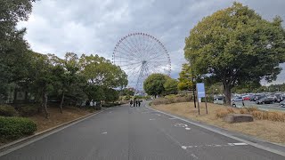 ชิงช้าสวรรค์ Diamond and Flower Ferris Wheel วิวอ่าวโตเกียว