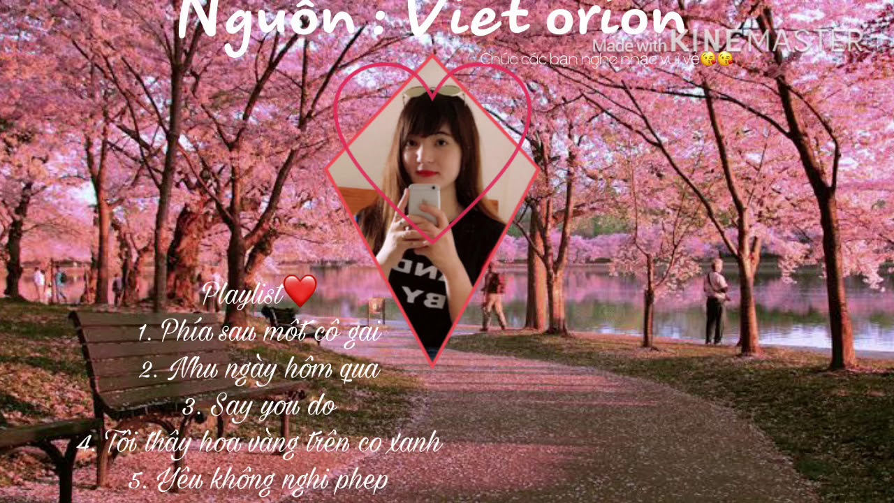 ベトナムの音楽は日本語が一番