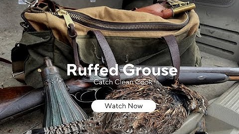 Ruffed grouse catch, clean and cook with a muzzleloading shotgun