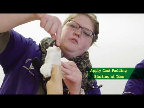 pet-first-aid:-paw-bandage