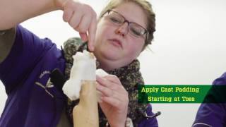 Pet First Aid: Paw Bandage screenshot 5