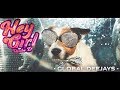 Global deejays  hey girl shake it official music