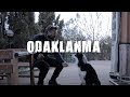 Köpeklerde Odaklanma Çalışması Nasıl Yapılır?