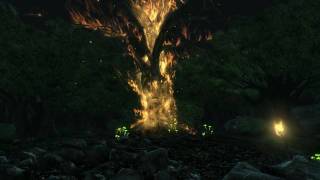 Fallout 3 The Death of Harold by fire(nuke)