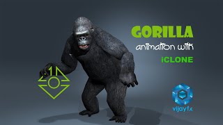 Gorilla walking Animation with iclone 8.4