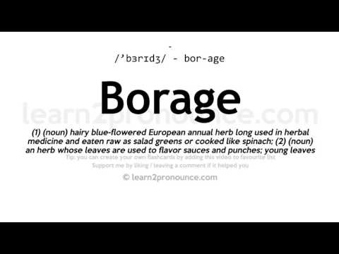 Video: Borage: Yemək üçün çiçəklər