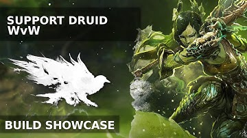 Gw2 WvW Snowcrows Guide - Support Druid Gameplay Showcase