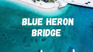 DIVING AT BLUE HERON BRIDGE- Best Clips of 2021