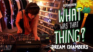 Dream Chambers performs Patch 3 Live At Flying Nun