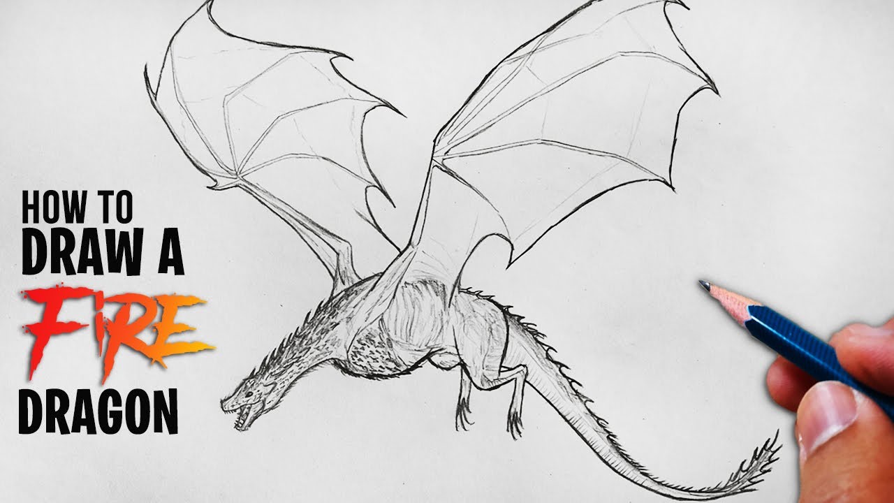 How To Draw A Dragon In 6 Easy Steps [Video + Illustrations]